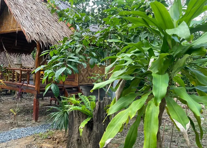 Dahla Lanta Hut